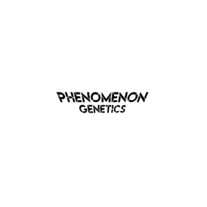 PHENOMENON GENETICS