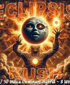 COVER ART FOR ECLIPSIS KUSH BY FIRE NEW BREED