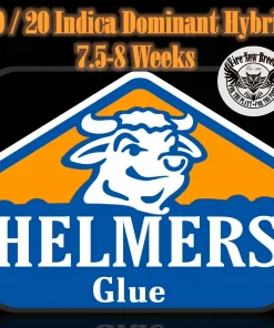 HELMERS GLUE COVER ART BY FIRE NEW BREED