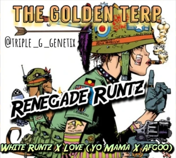 illustrated cover image for strain renegade runtz from breeder the golden terp by triple g genetix