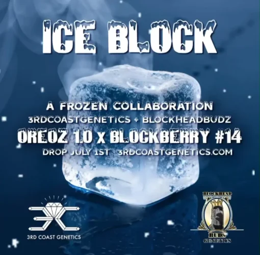 ICE BLOCK COVER IMAGE FOR 3RD COAST GENETICS