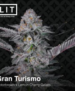 PHOTO OF BUD FROM GRAN TURISMO BY LIT FARMS ON SEED BANK