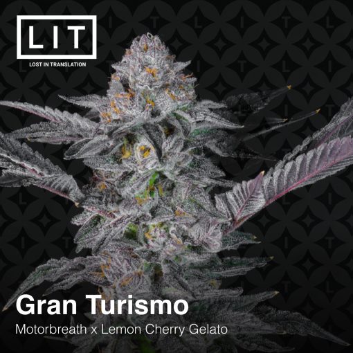 PHOTO OF BUD FROM GRAN TURISMO BY LIT FARMS ON SEED BANK