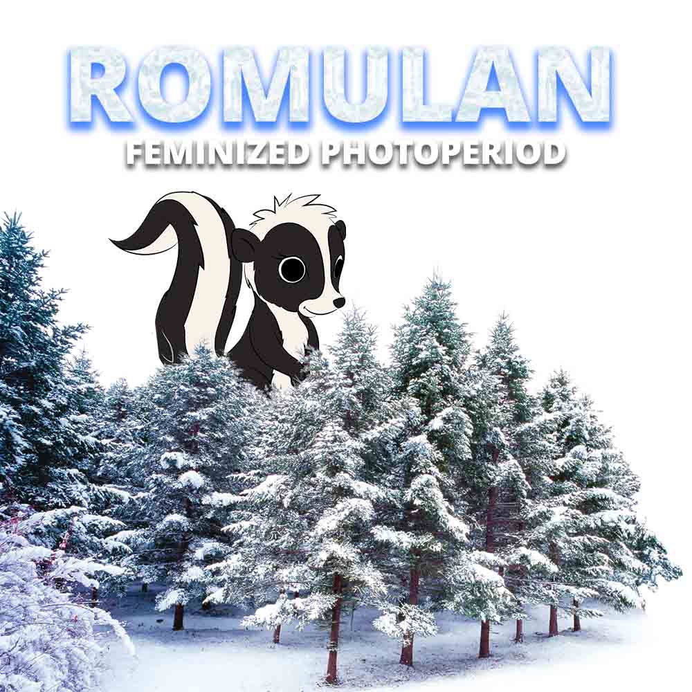 Romulan (S1) archive 2