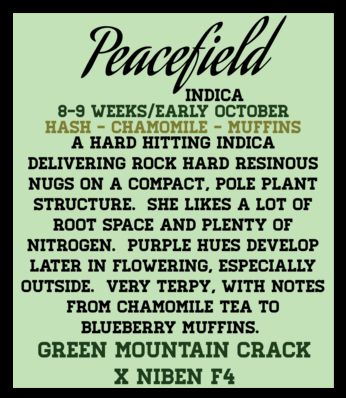 PEACEFIELD - Image 2