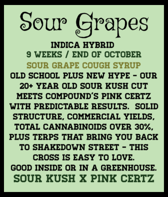 SOUR GRAPES - Image 3