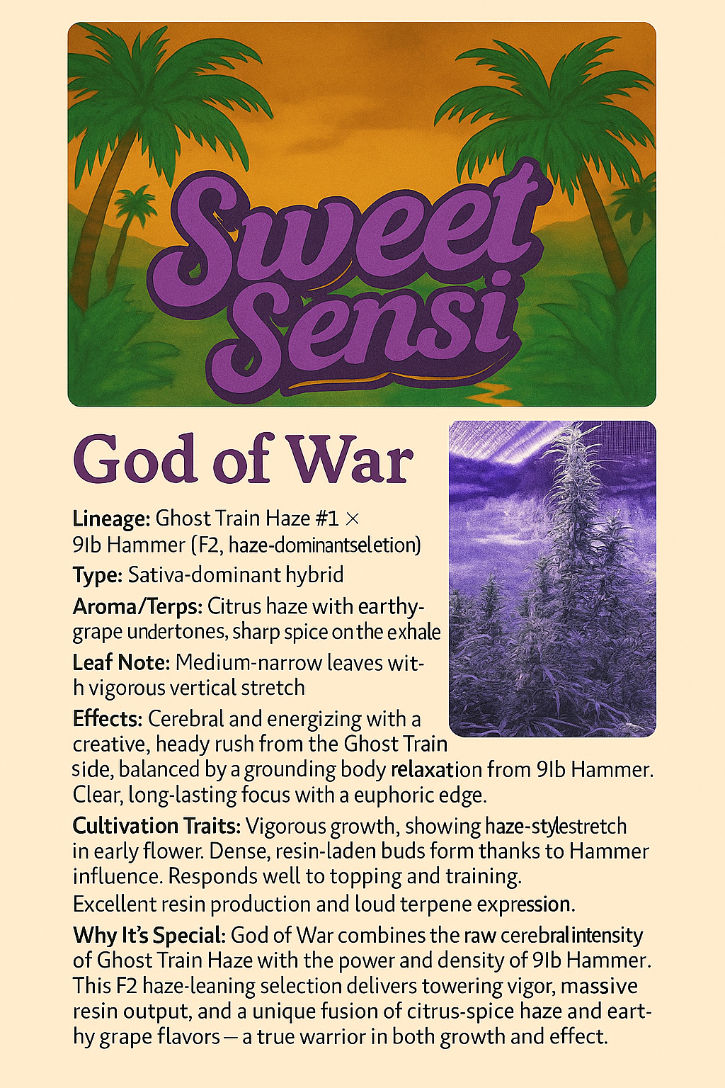 GOD OF WAR F2 - Image 2