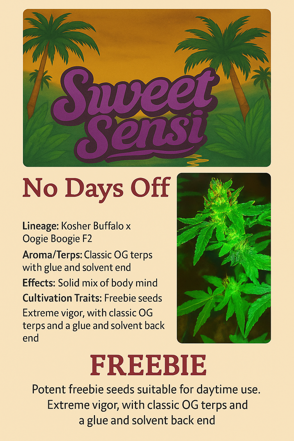 NANDA DEVI - Image 2