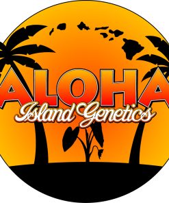 Alternative view of PUTANG NEVIL CHEM X SILVER SWORD