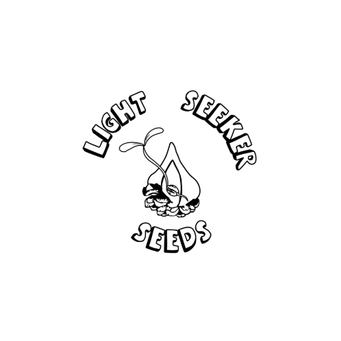 LIGHT SEEKER SEEDS